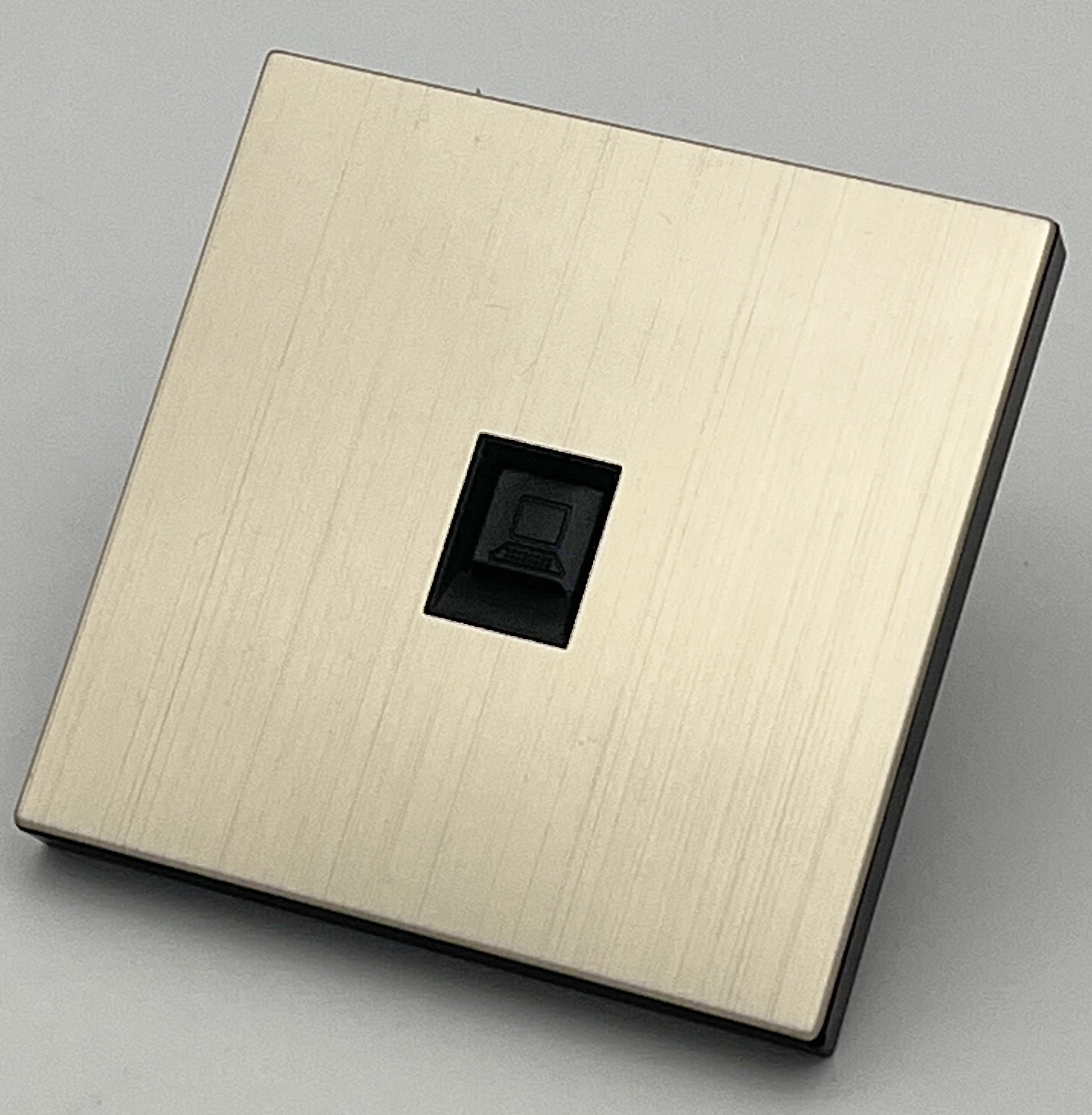 L530香槟金 网络插座